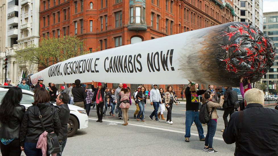 10 Signs the Cannabis Movement is Gaining Momentum in the United States