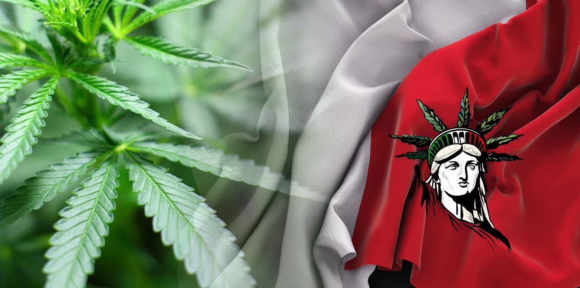 2019 Closes without regulation for light marijuana in Italy