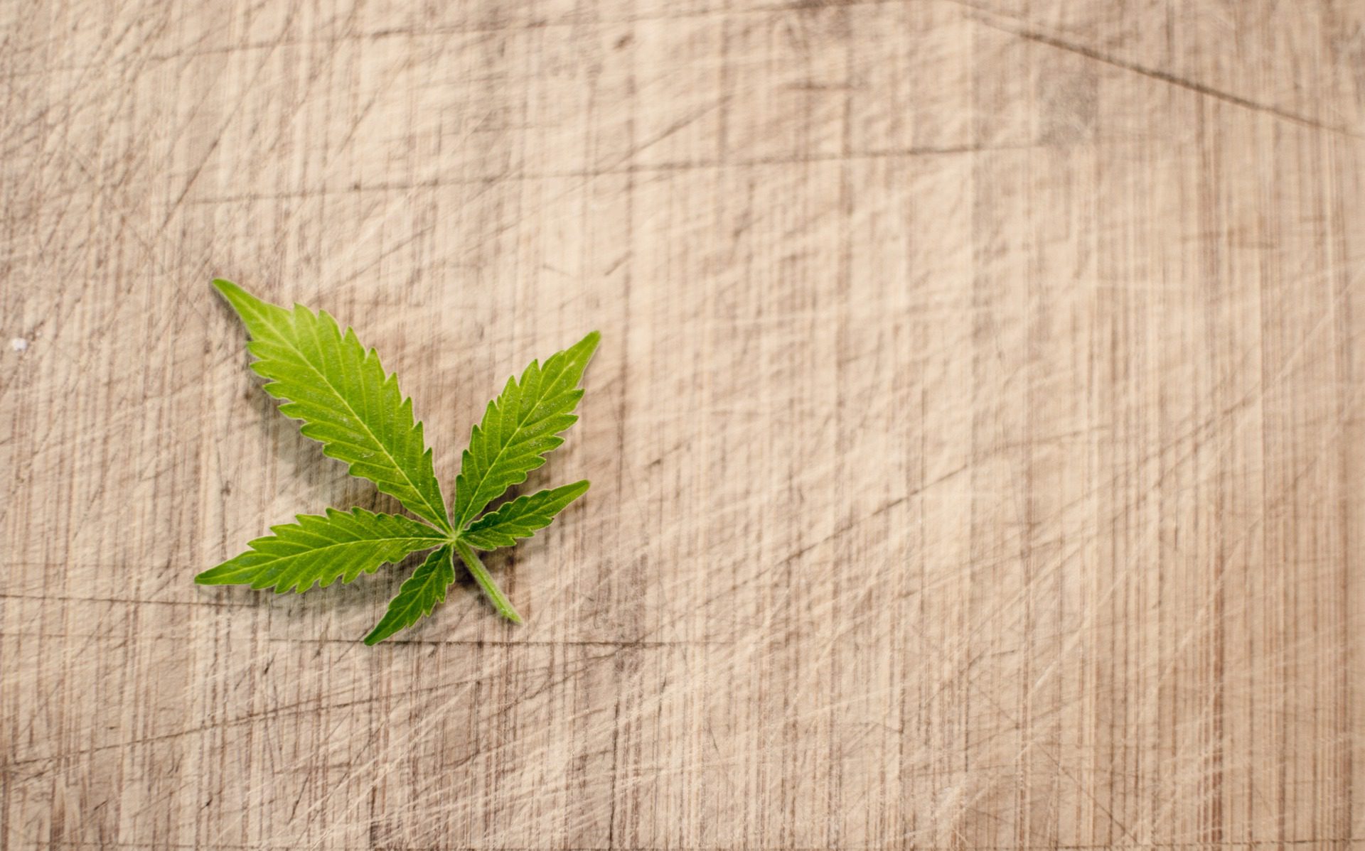 4 mythes sur la plante mâle de la marijuana
