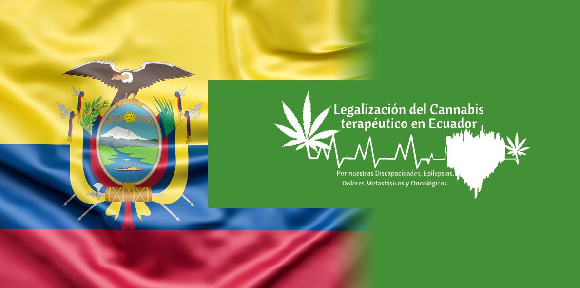 Alexis Ponce: &#8220;They want to make medicinal cannabis in Ecuador a business.&#8221;