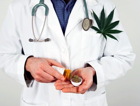 Legal support for the medical use of cannabis in Germany and Brazil