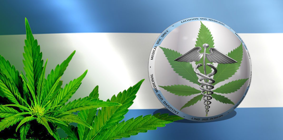 Argentina passes law regulating home cultivation for medical use and the selling of cannabis-derived oils