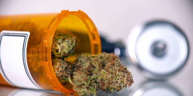 The countdown to the regulation of medical cannabis in Spain has begun