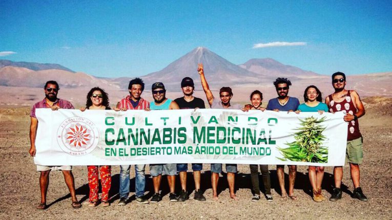 Avanza despenalización del cannabis medicinal en Latinoamérica y Fundación Daya se posiciona como un referente para la región