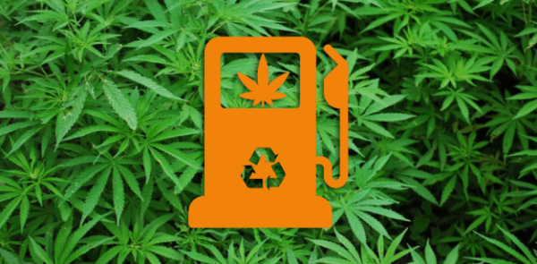 biocombustible-derivado-de-los-residuos-del-cannabis-medicinal