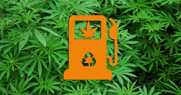 Biocombustible issu des résidus du cannabis médicinal
