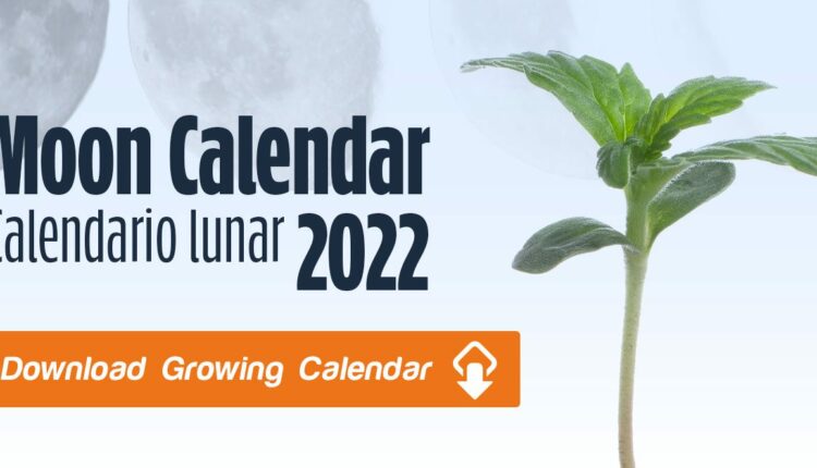 Cannabis growing calendar 2022