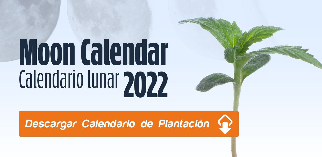 Calendario 2022 per la coltivazione di cannabis