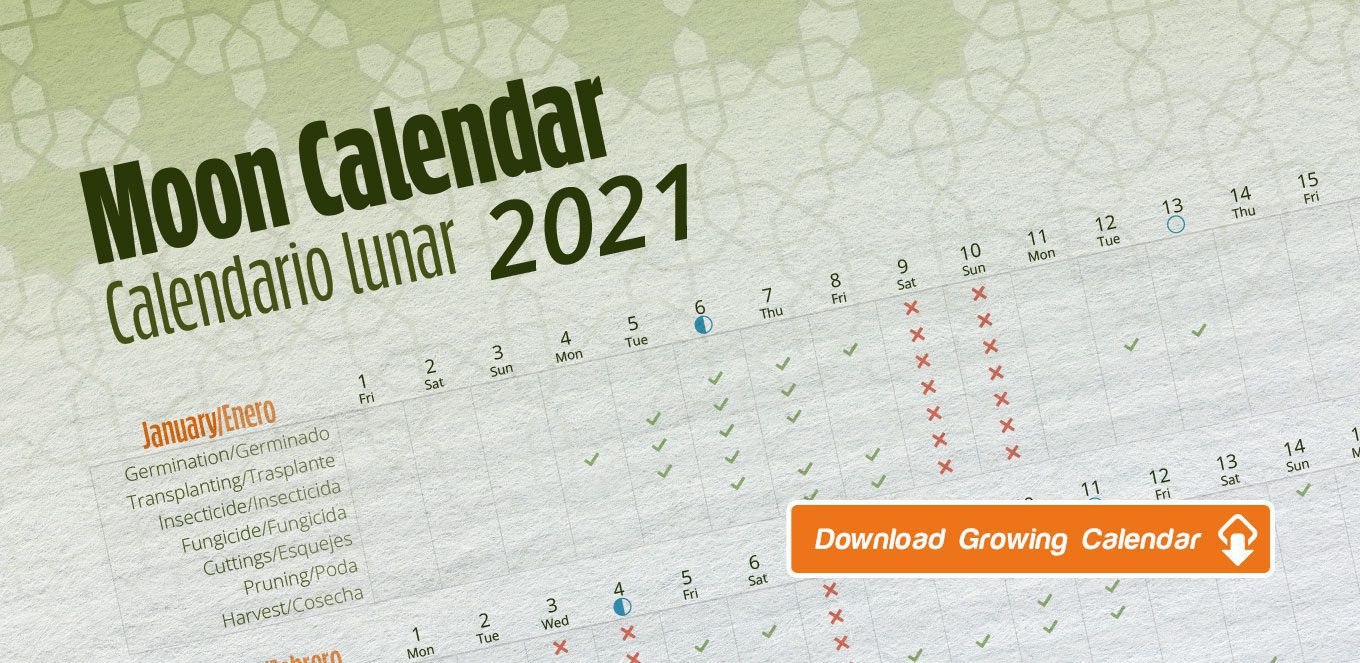 Cannabis growing calendar 2021