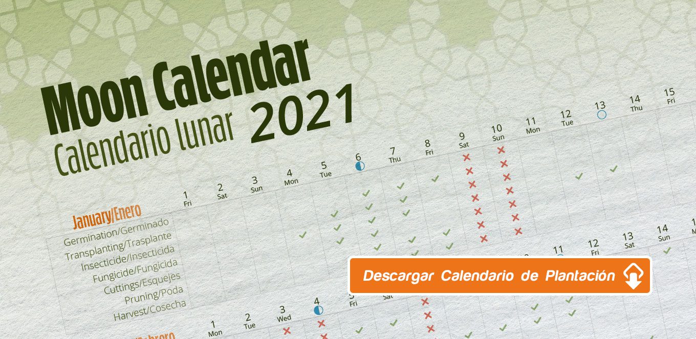 Calendario cultivo marihuana 2021