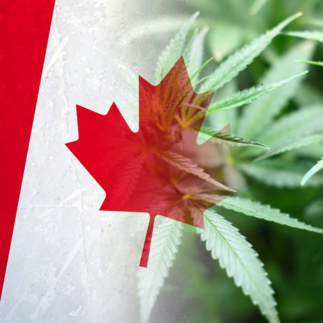 Novedades en la regulación del cannabis medicinal en Canadá