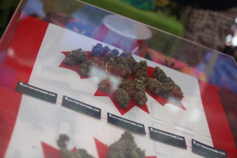 Canadá presenta su polémico Proyecto de Ley para legalizar la marihuana recreativa