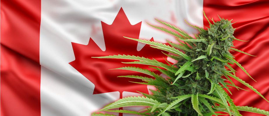 Canadá promete legalizar la marihuana para julio 2018