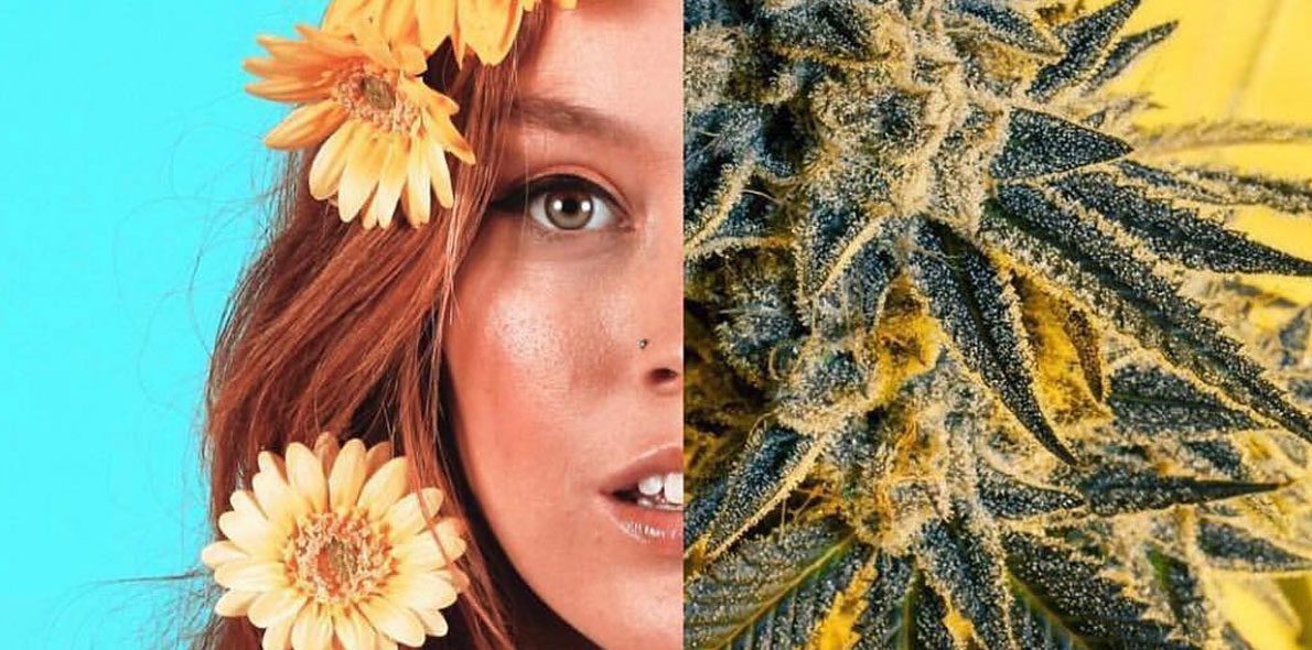 Cannabis cosmetics are trending