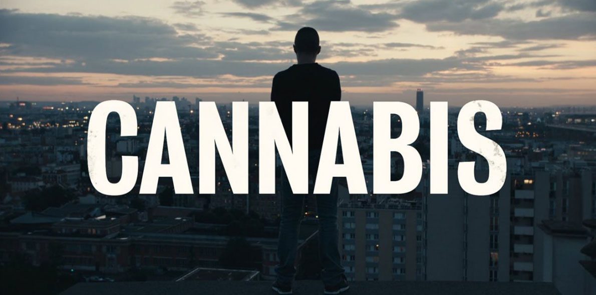 Cannabis, ein Cannabis-Thriller zwischen Marbella und Paris