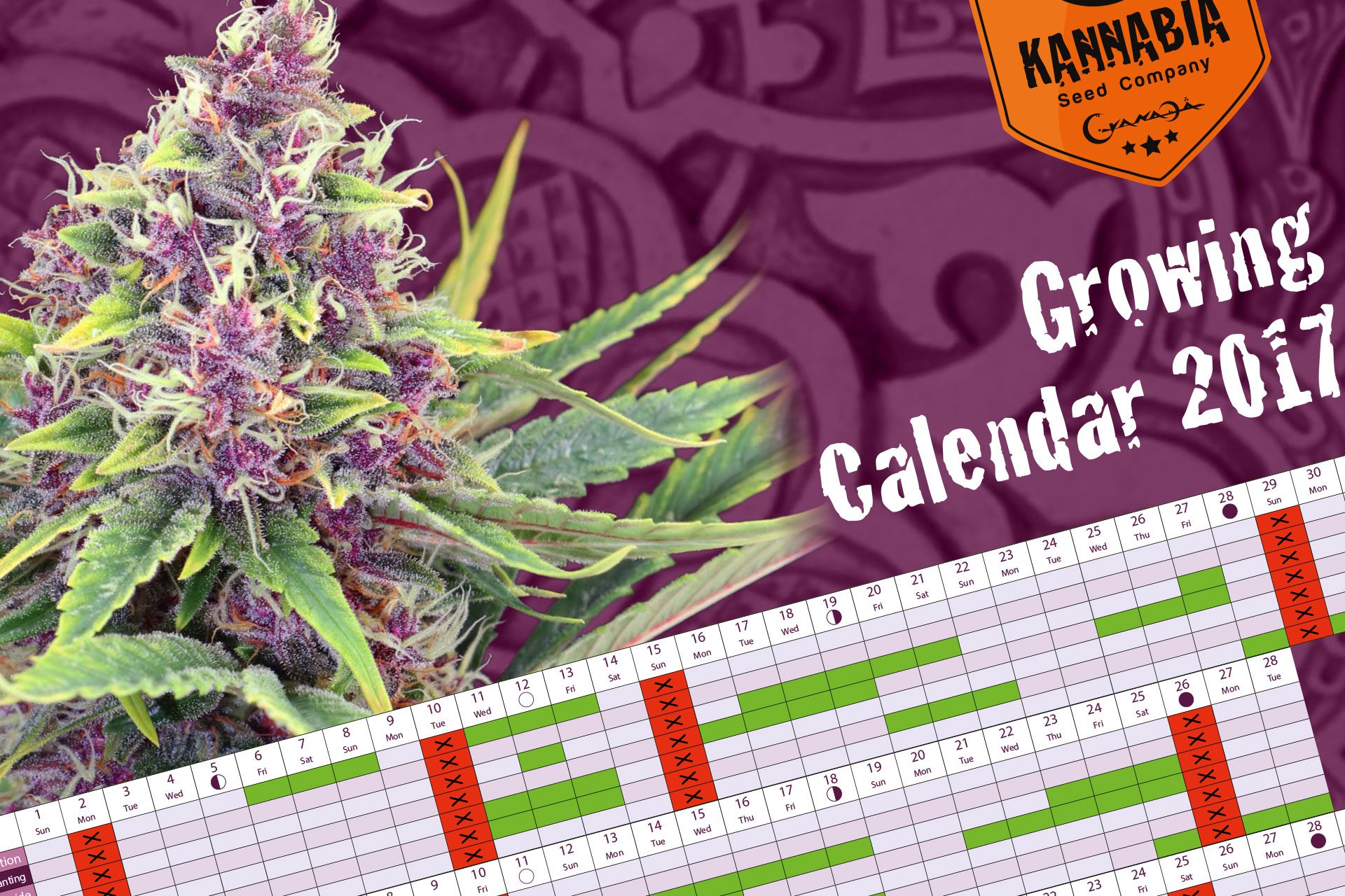 Cannabis growing calendar 2017