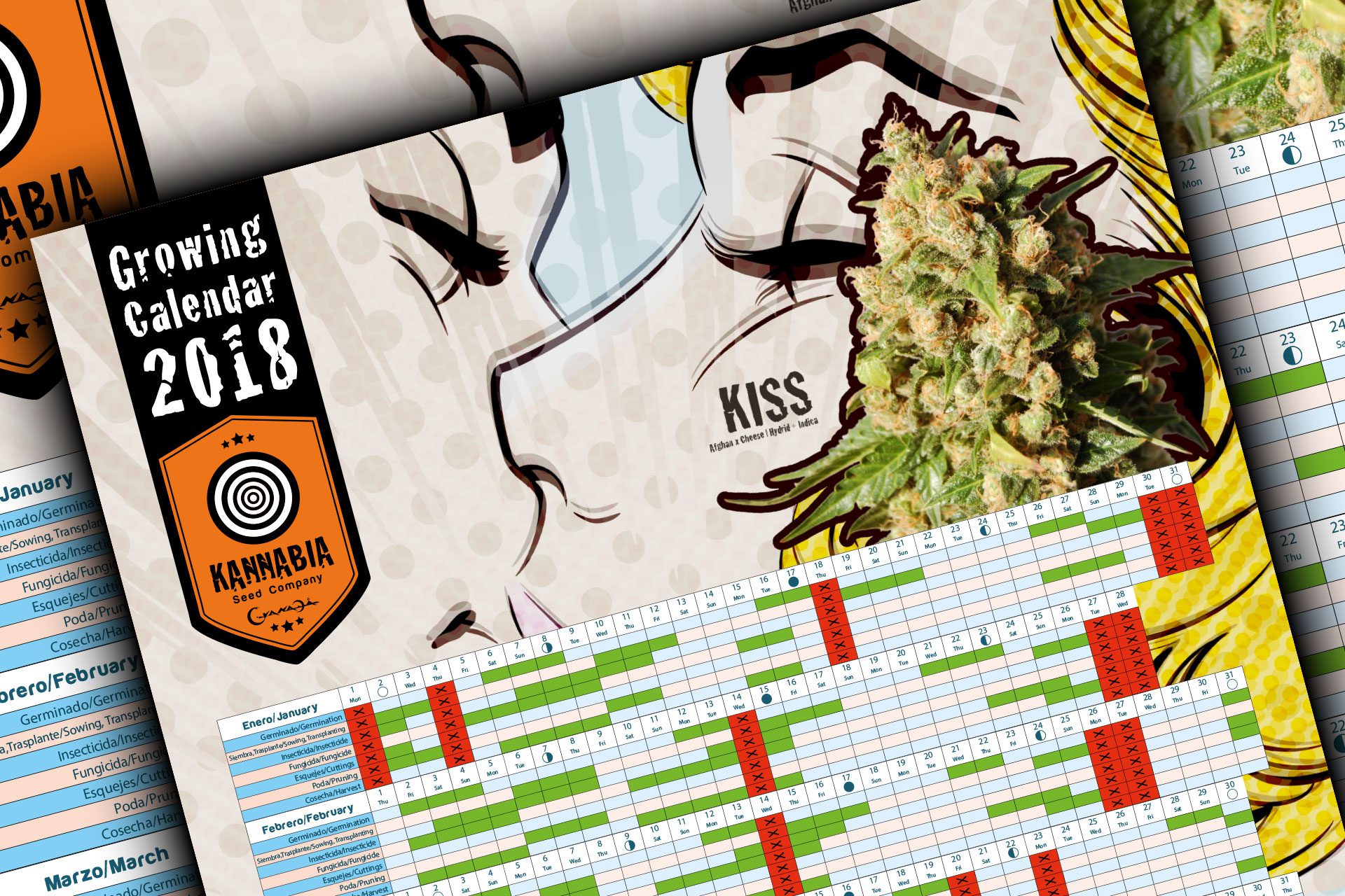 Cannabis growing calendar 2018