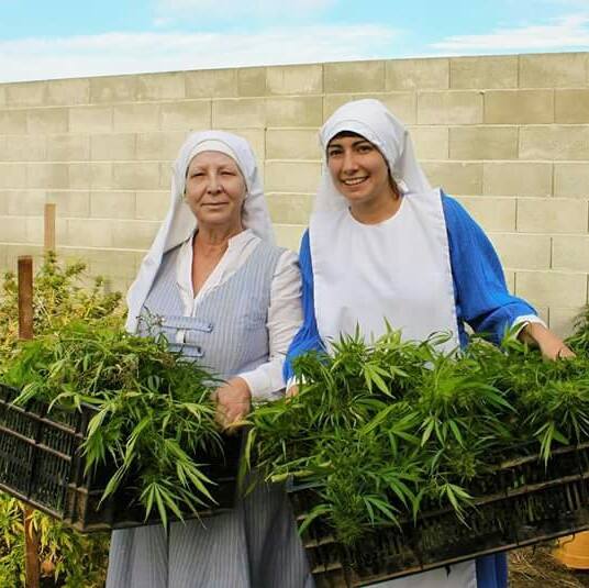 «Vemos en el cannabis una alternativa económica para las mujeres», entrevista a las monjas de la marihuana