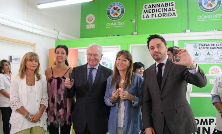 Chile se convierte en el primer país de Latinoamérica en iniciar un estudio clínico en base a cannabis medicinal