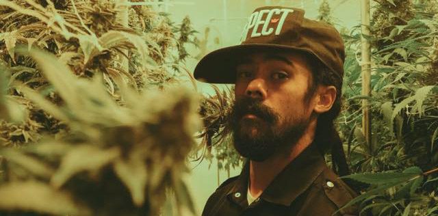 Damian Marley will transform a prison into a marijuana manufacturing plant