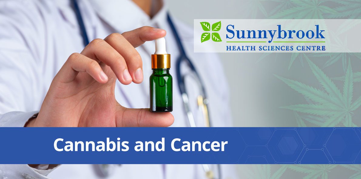 L&rsquo;hôpital Sunnybrook va prescrire du cannabis médical à ses patients