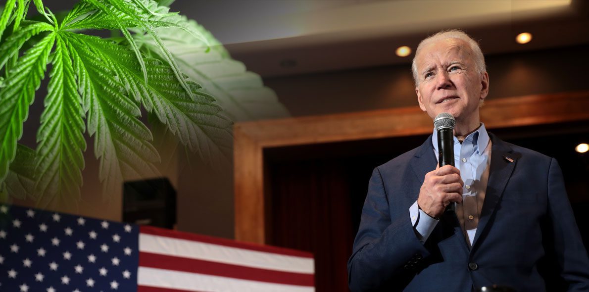 La promesa de legalización del cannabis del Partido Demócrata pierde fuelle con Biden