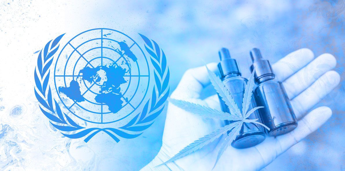 UN recognizes the medicinal value of cannabis