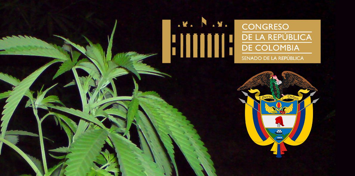 Dos iniciativas legislativas vuelven a poner sobre la mesa la legalización del cannabis en Colombia