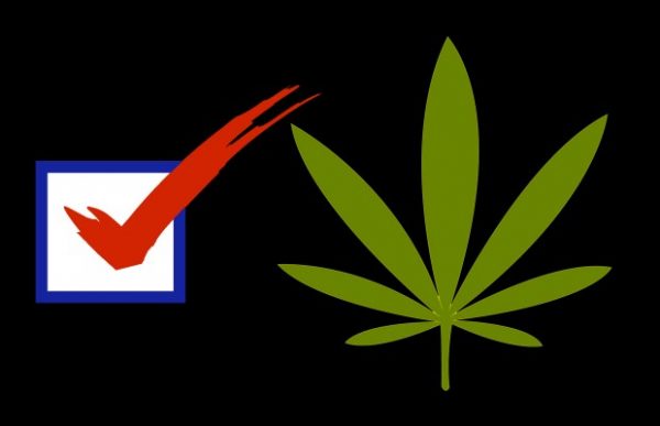 El cannabis en la carrera presidencial al Elíseo 2017