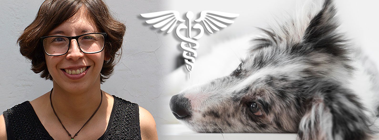 &#8220;There are few veterinarians who work with cannabis&#8221;, interview with Francisca Medina