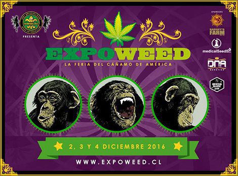 ¡Llega Expoweed Chile!