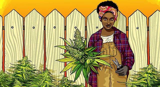The Feminist Weed Farmer, a book for women, racialized, and queer folks