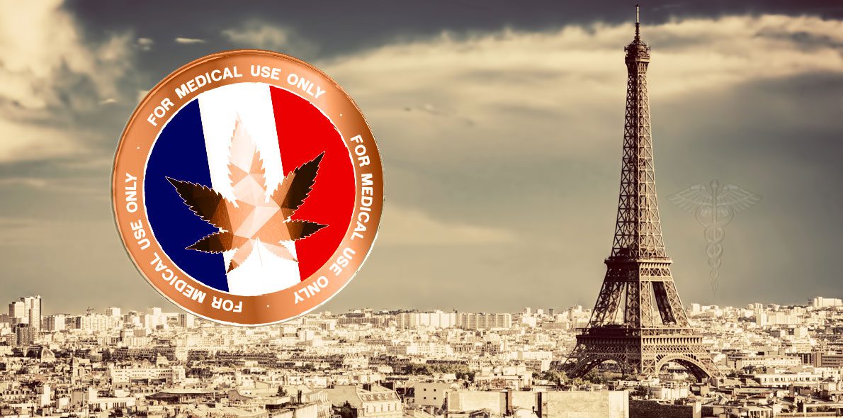 Francia comenzará en septiembre un programa piloto de cannabis medicinal