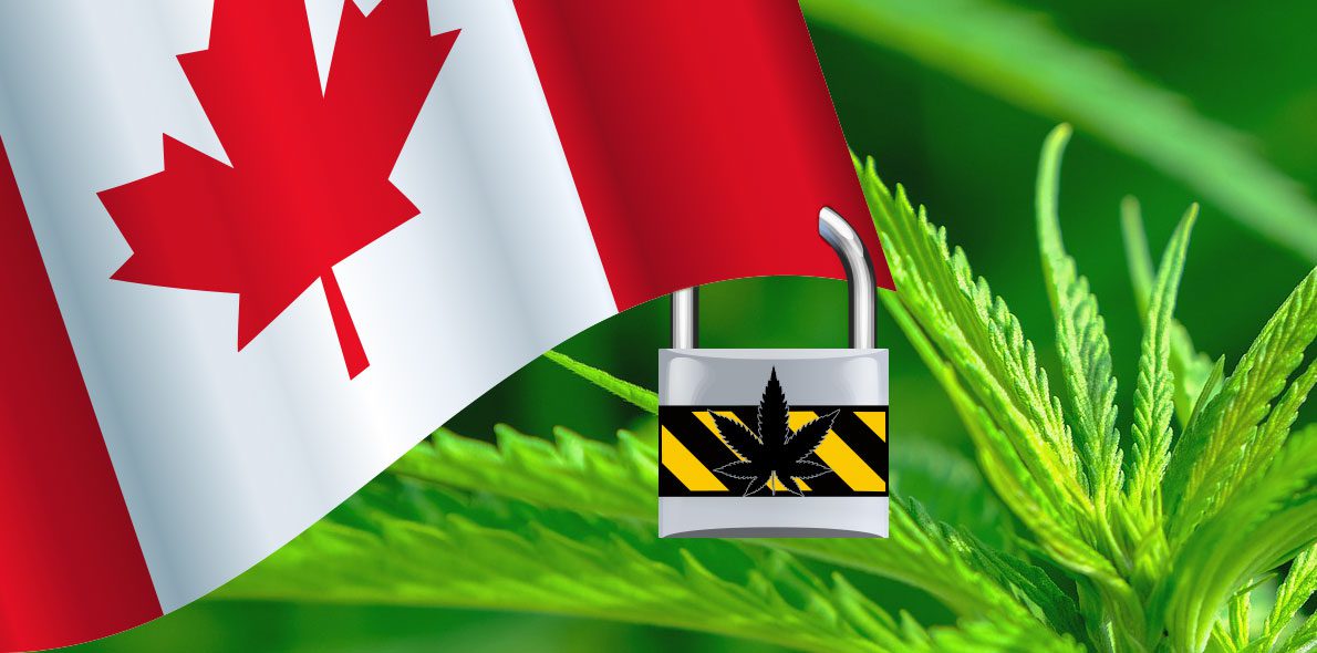 Canadá bloquea las importaciones de cannabis medicinal