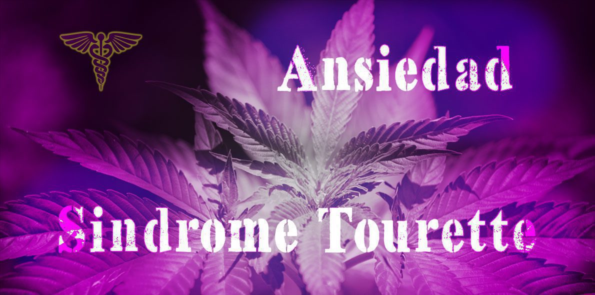La ansiedad y el síndrome de Tourette ya pueden tratarse con cannabis en Pensilvania