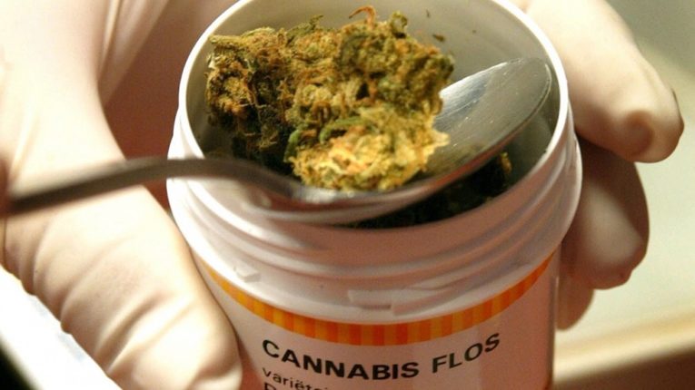 La OMS realiza su primera evaluación oficial sobre el potencial terapéutico del cannabis