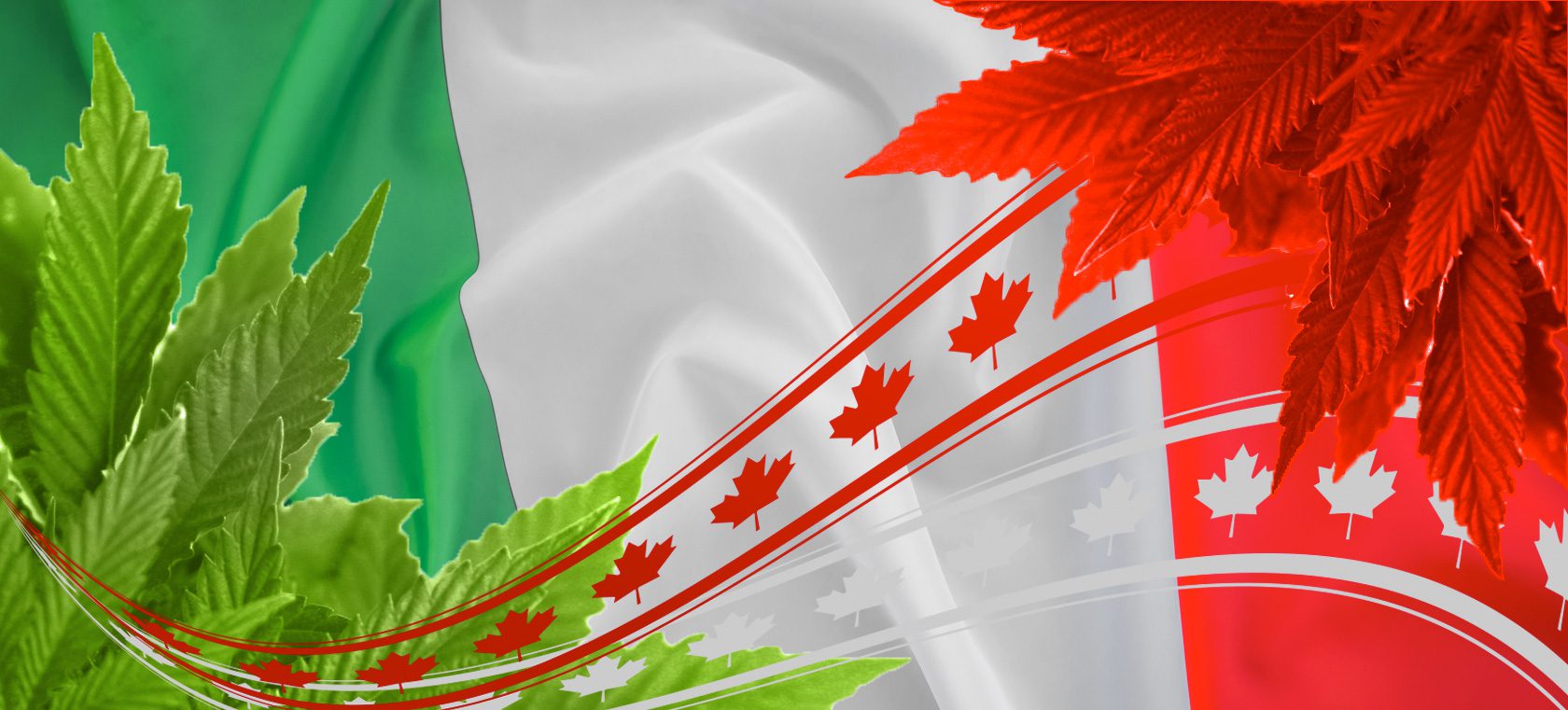 La producción de cannabis medicinal en Italia no es suficiente: llegan refuerzos desde Canadá