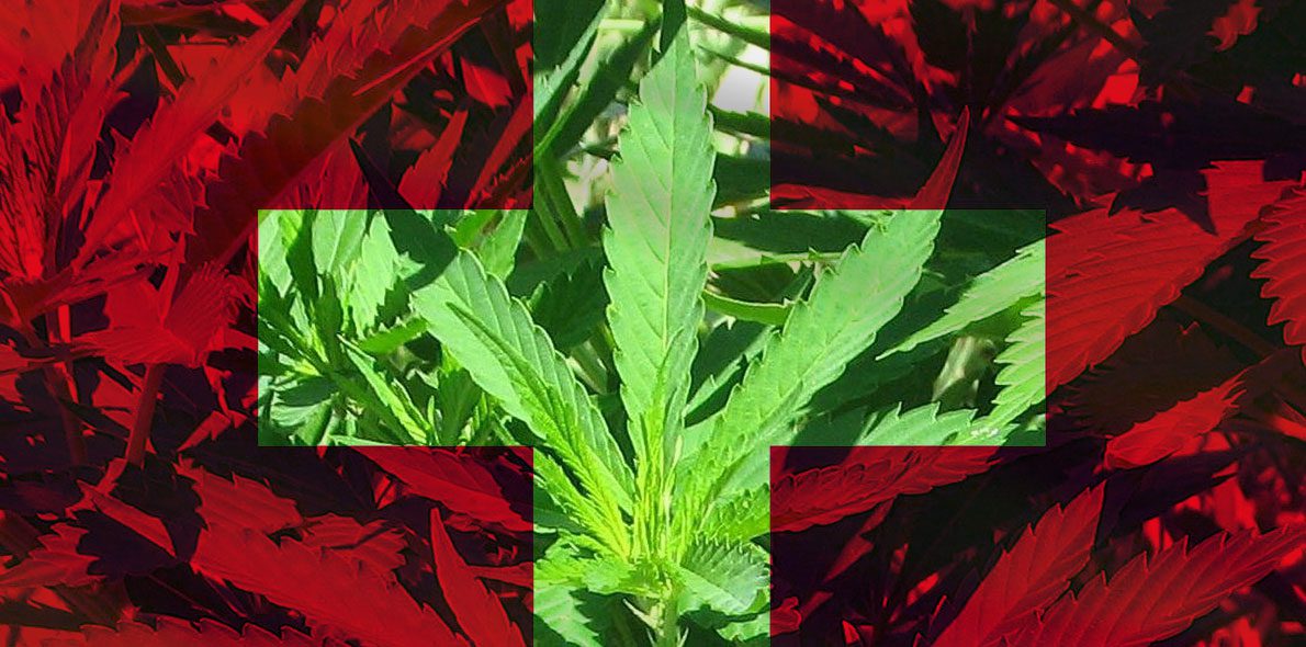 Suiza aprueba poner en marcha un proyecto piloto de distribución de cannabis recreativo