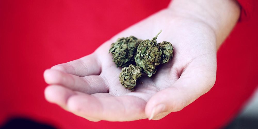 « Le cannabis n’est pas une question magique », déclare la ministre de Santé.