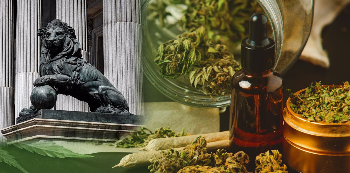 Le congrès ouvre la voie à la proposition de régularisation du cannabis médical