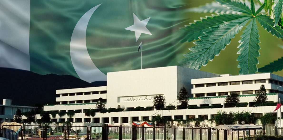 Pakistán legaliza la producción de cáñamo