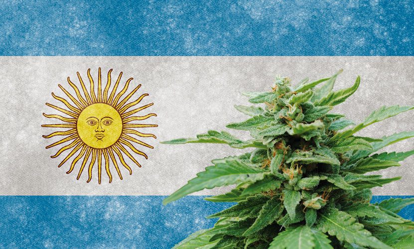 Legal status of cannabis in Argentina