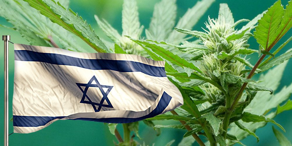 L&rsquo;exportation de cannabis médicinal devient légale en Israël