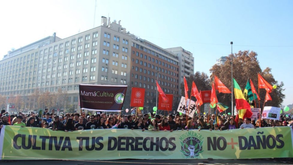 Los nuevos pasos de la “verde revolución” en Chile