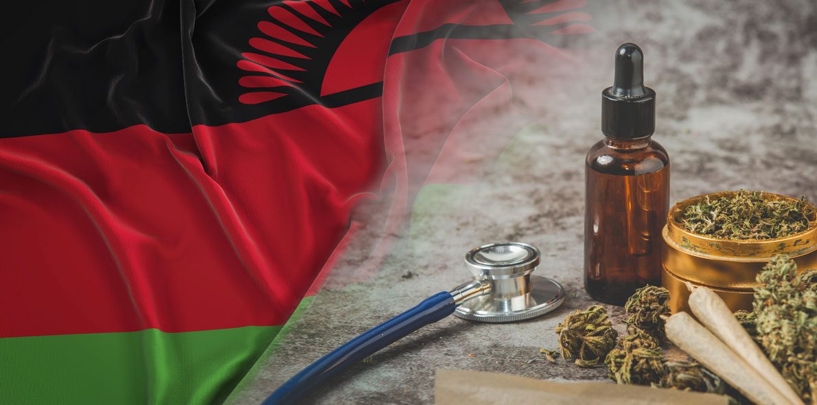 Malawi legalisiert medizinisches und industrielles Cannabis um den Tabak-Anbau zu ersetzen