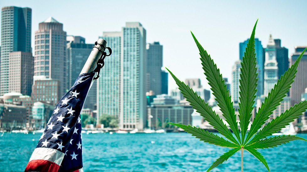 Massachusetts to become sixth state to remove criminal penalties for adult marijuana use