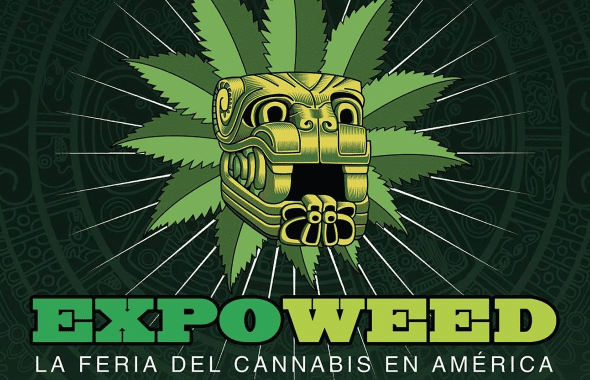 México puede legalizar el cannabis medicinal este diciembre
