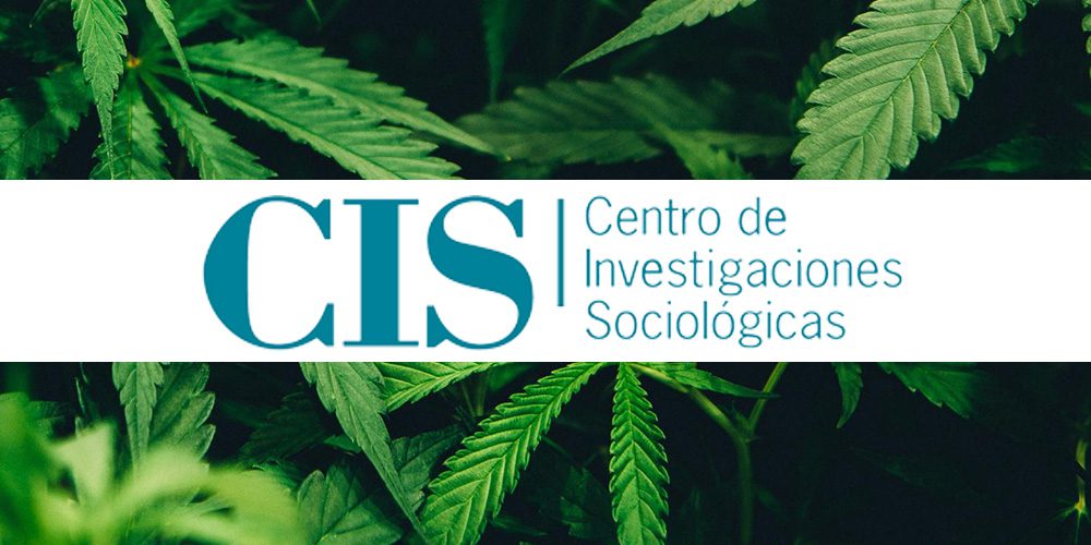 Según el CIS, el 84% de los españoles legalizaría el cannabis medicinal