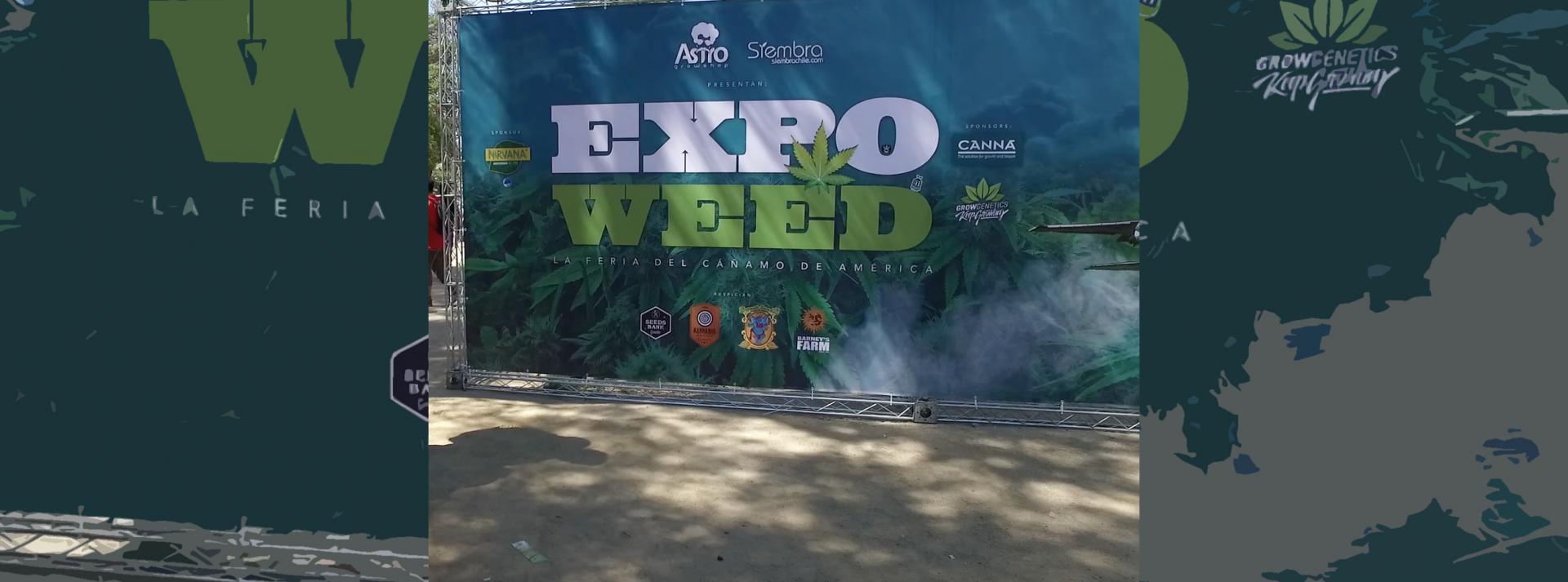 We went to Expoweed in Santiago de Chile