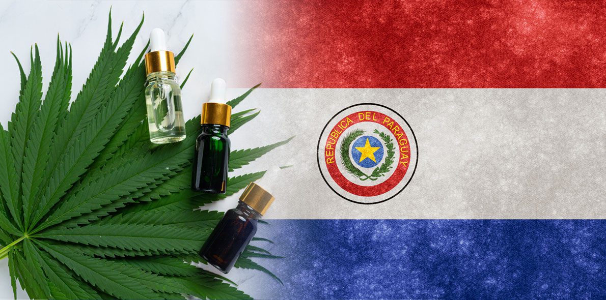 Paraguay est à deux doigts de dépénaliser la consommation et l’autoculture de cannabis médicinal